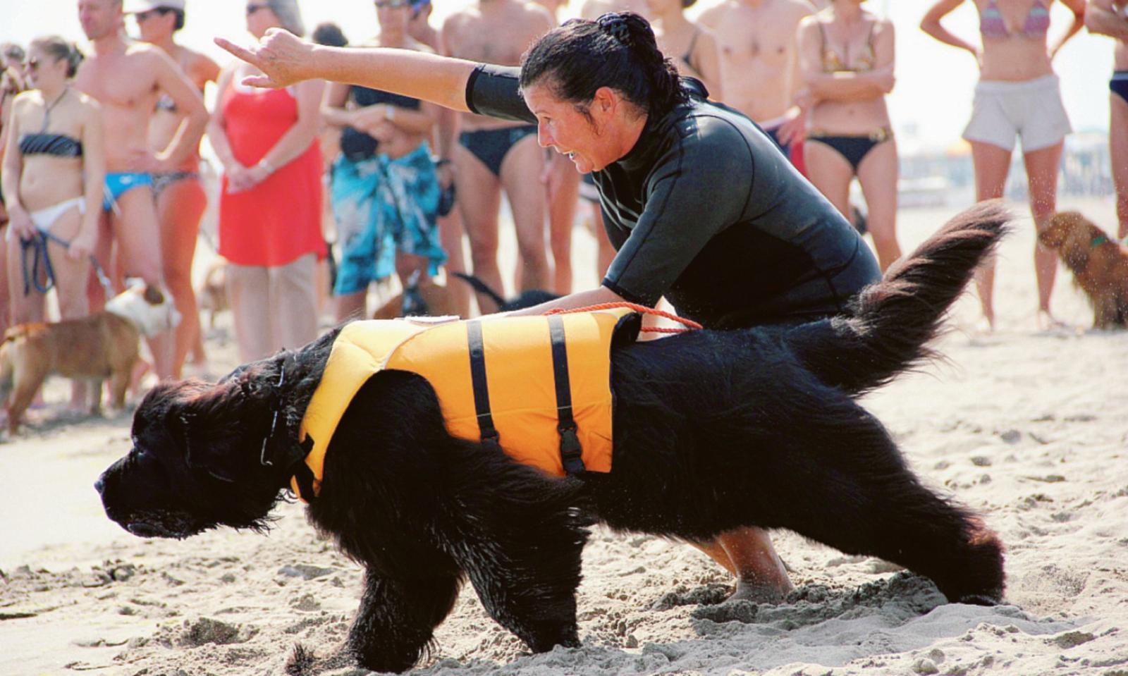 Ti amano e ti salvano la vita