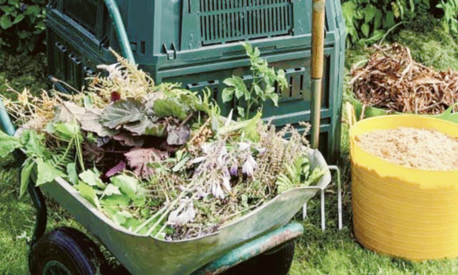 Raccolta del verde, cambia tutto