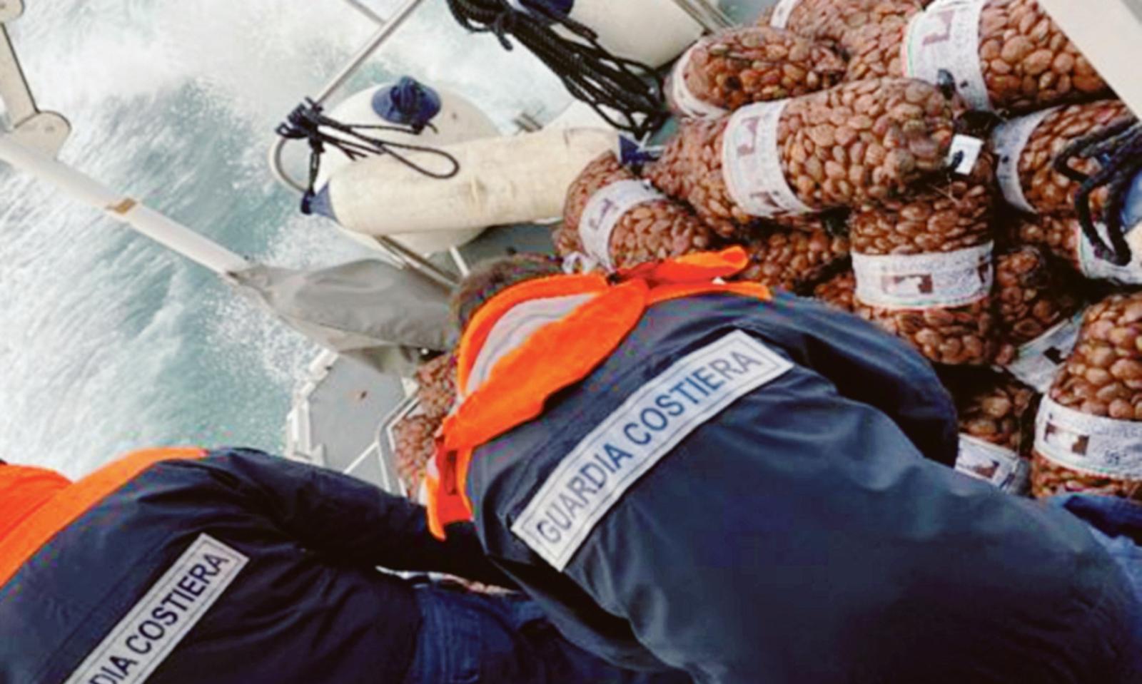 Maxi sequestro di vongole e fasolari