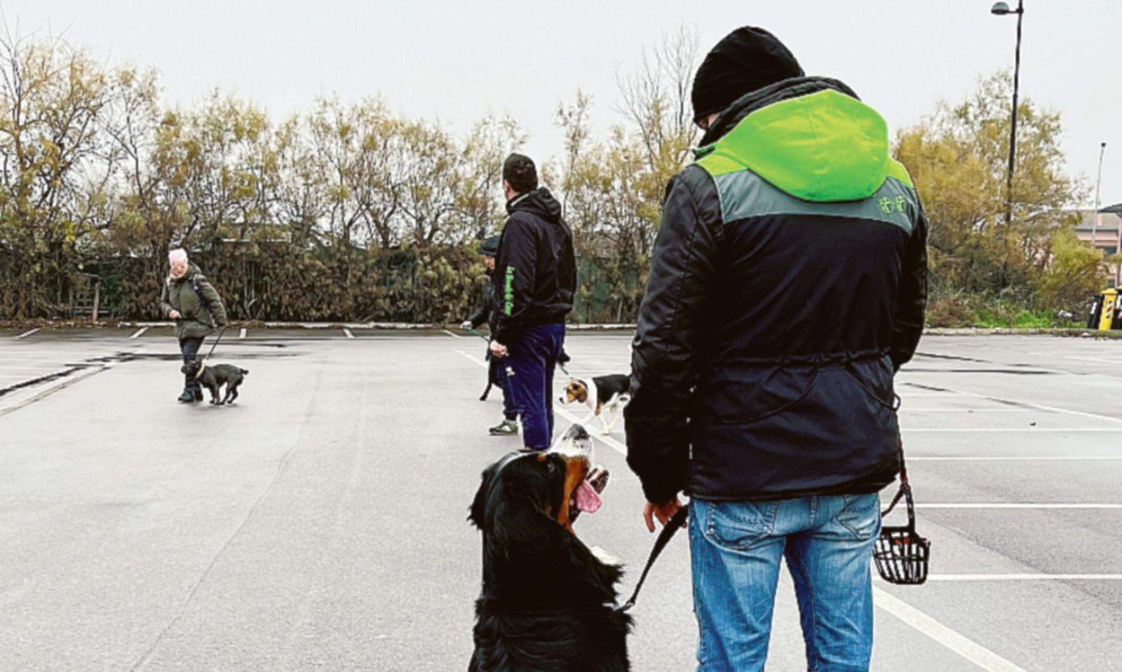 Ecco il patentino di "bravi padroni"