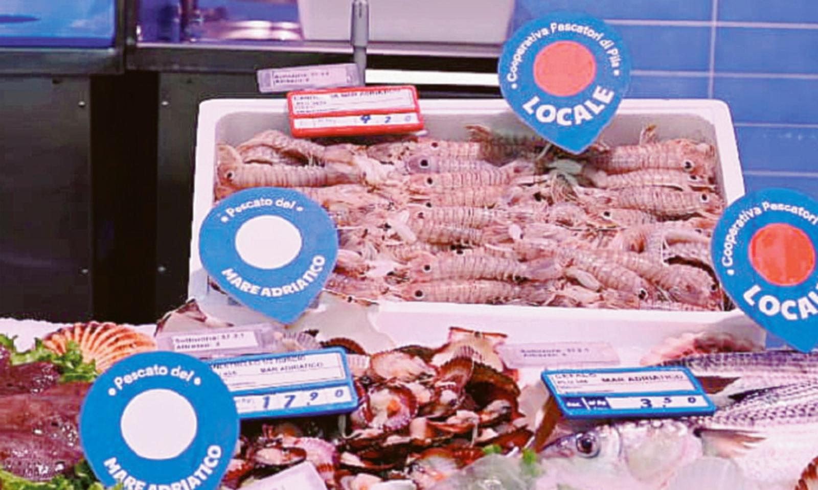 Il nostro pesce sar&agrave; valorizzato dalla Coop!