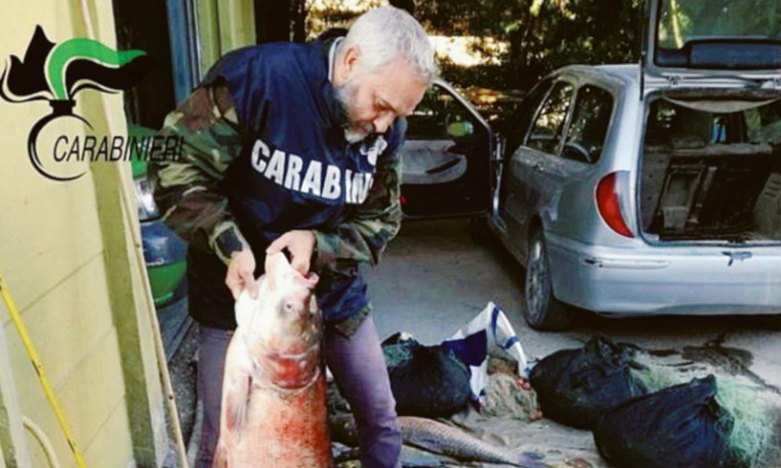 &ldquo;Graziati&rdquo; i predoni del Po