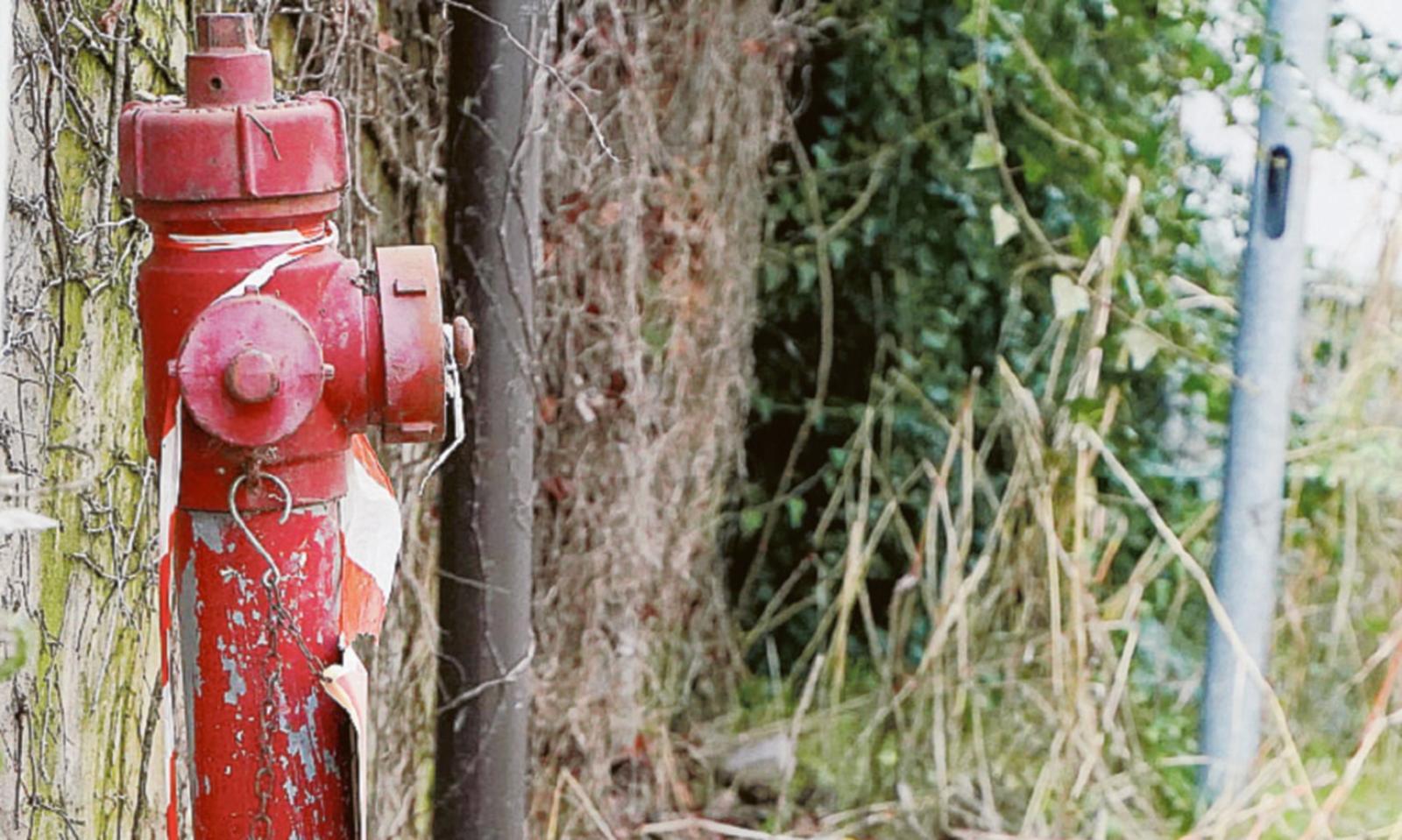 "Garage allagato da mesi, nessuno interviene"