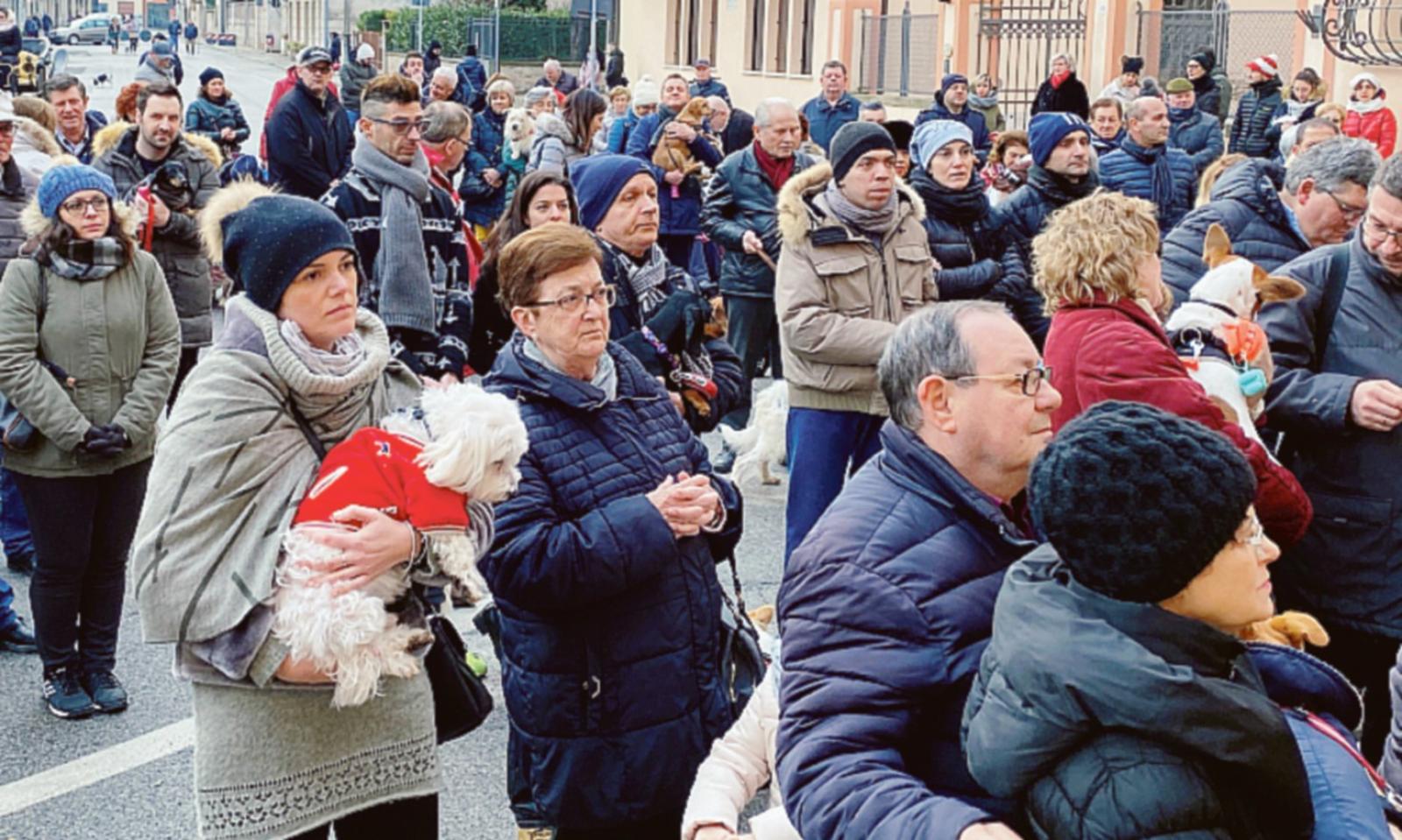 Benedetti loro! Il giorno dei cuccioli