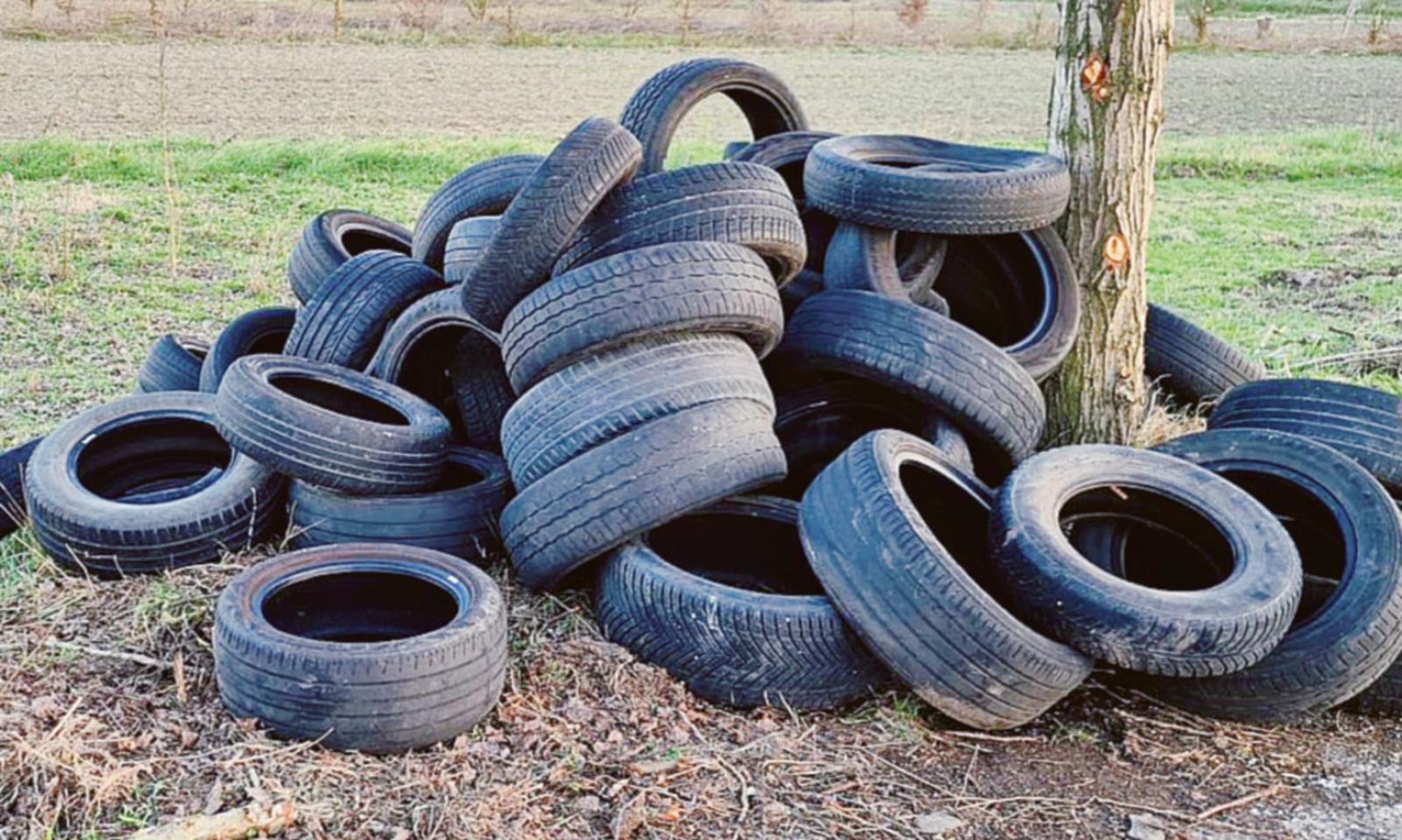 L'ultima vergogna degli idioti