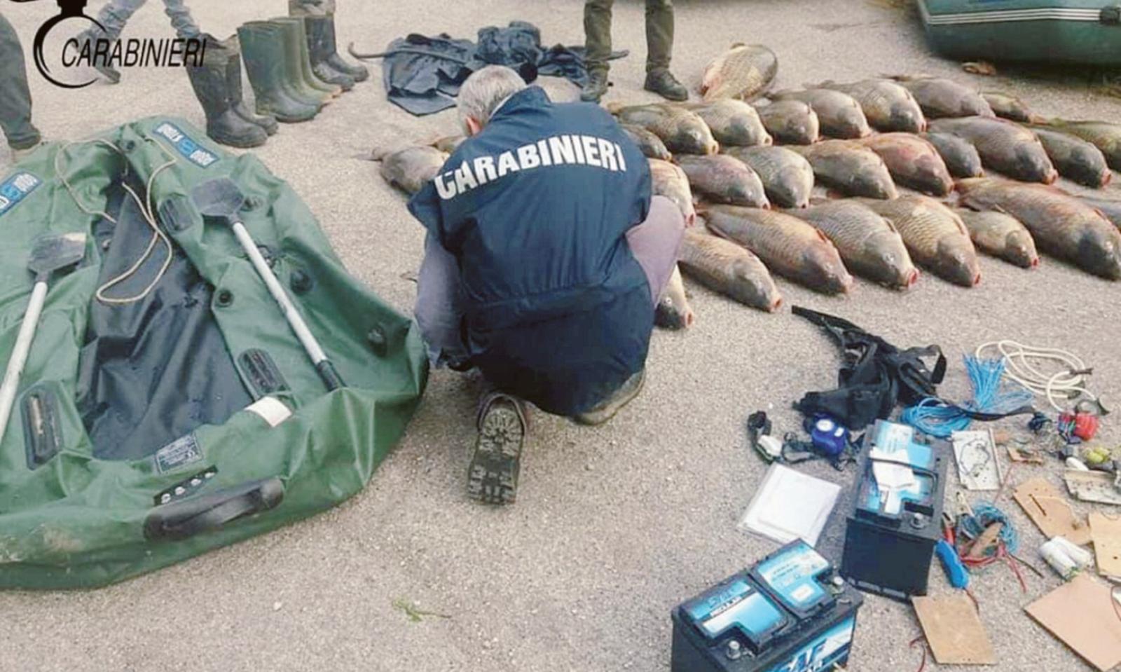 Bracconaggio ittico, adesso basta!