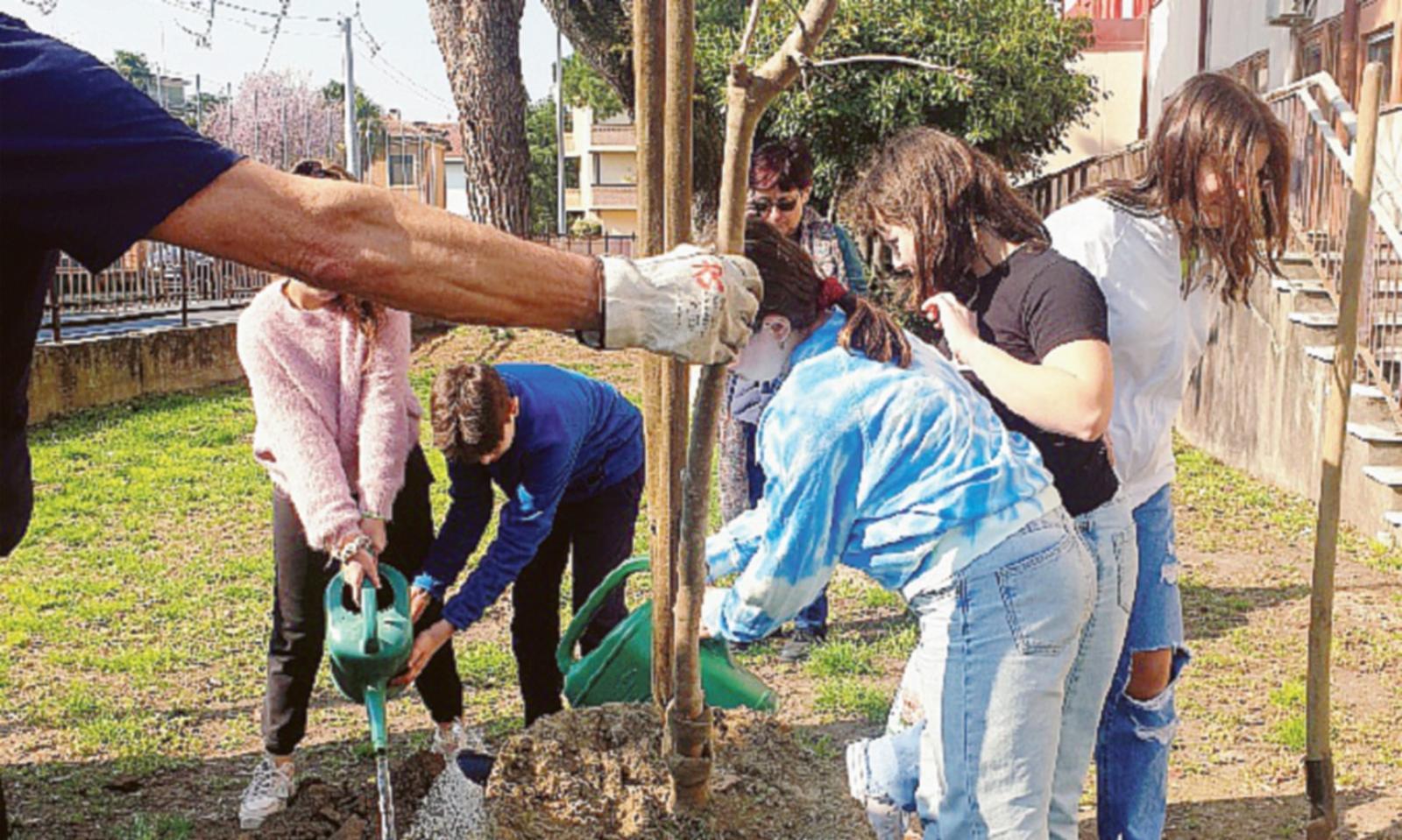 Linea verde: i giovani piantano nuovi alberi