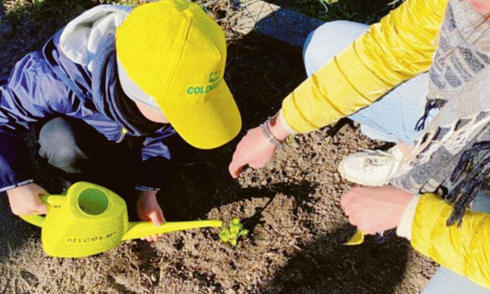 L&rsquo;orto didattico &ldquo;entra&rdquo; a scuola