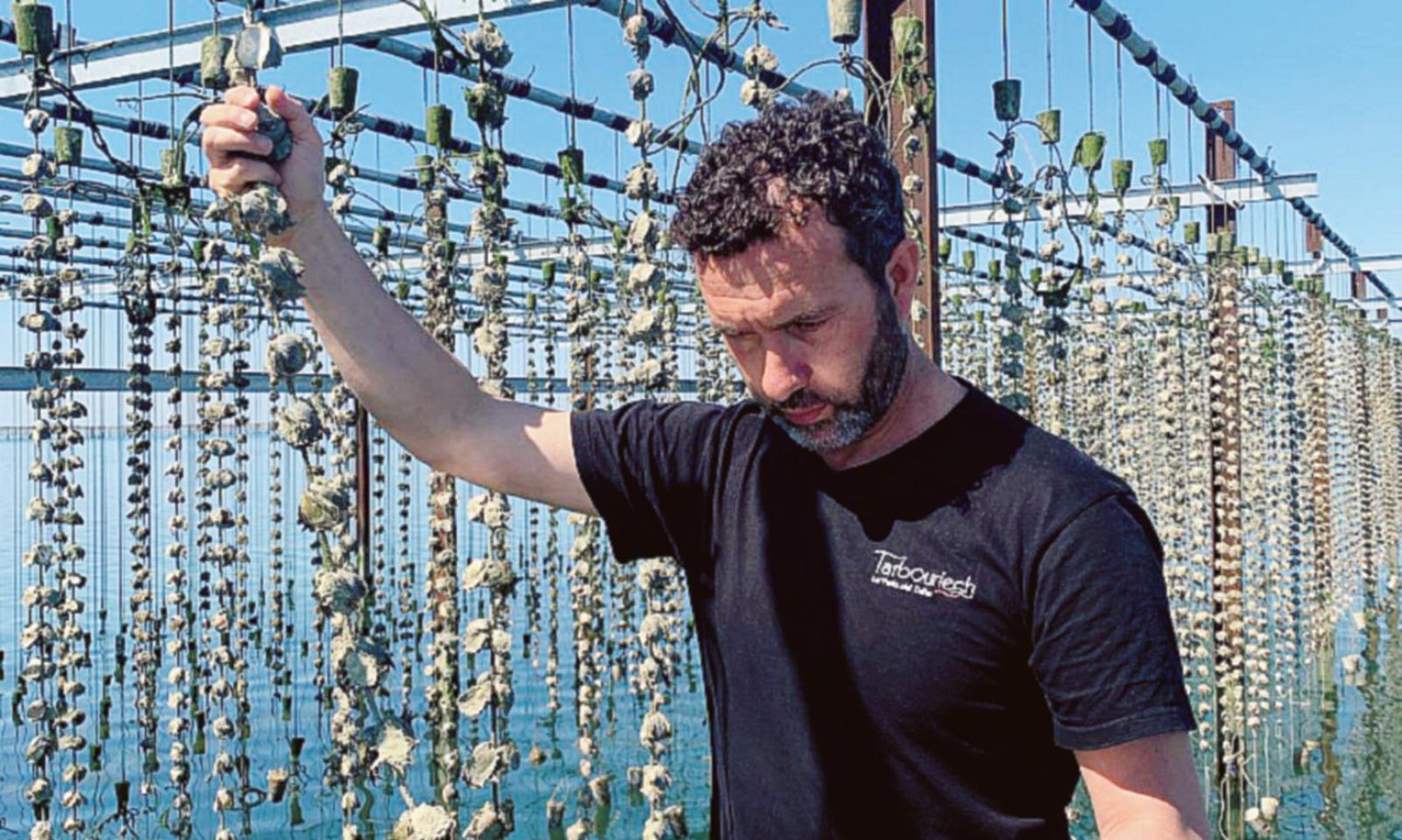 Ostrica rosa, sempre pi&ugrave; eccellenza internazionale