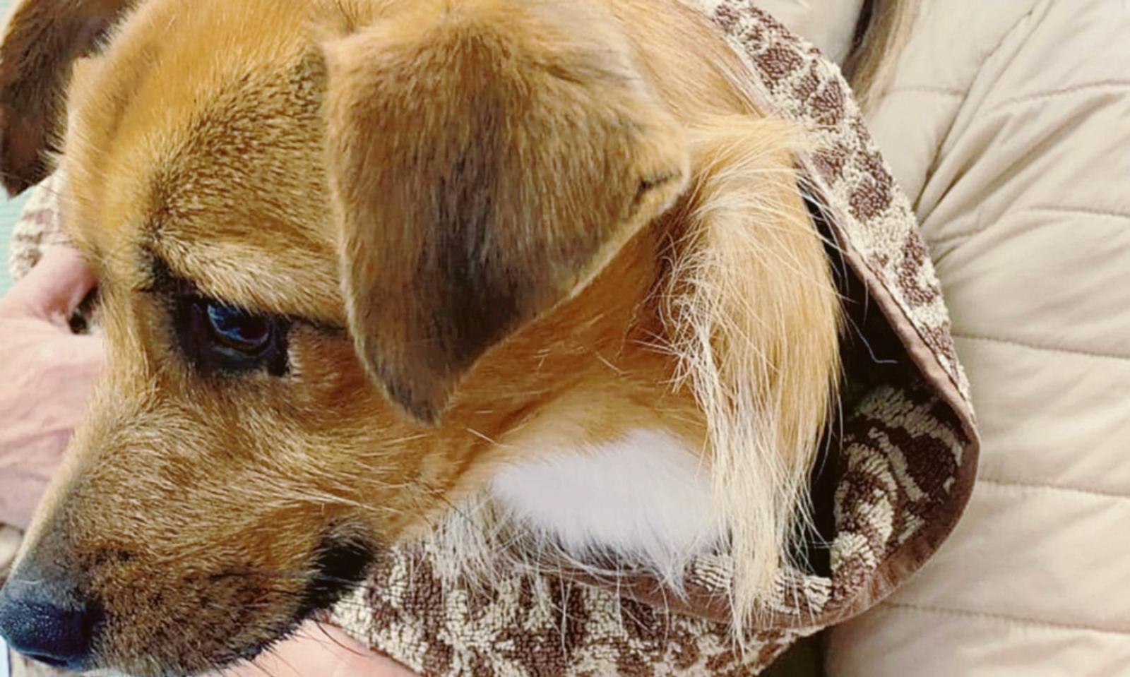 &ldquo;Pena esemplare per chi ha ucciso Pepe&rdquo;