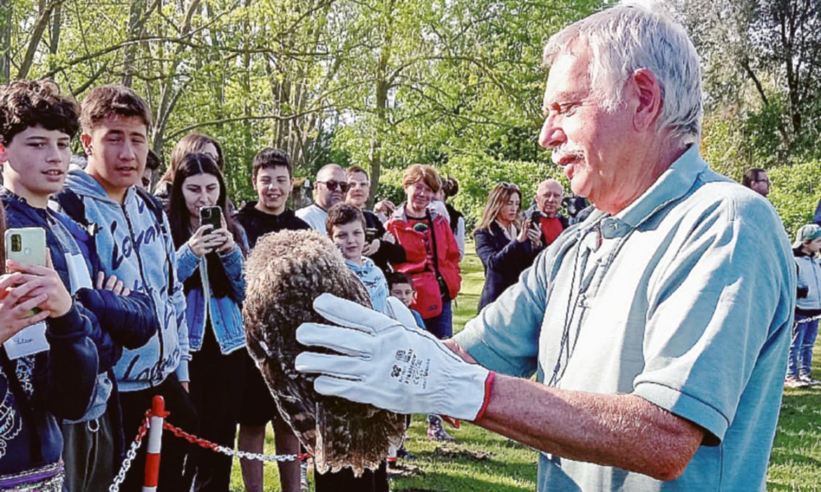 Liberi di tornare a volare
