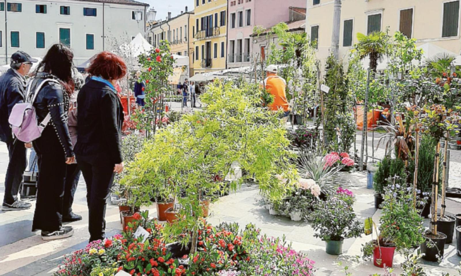 &ldquo;Adria in fiore&rdquo;, una sinfonia 