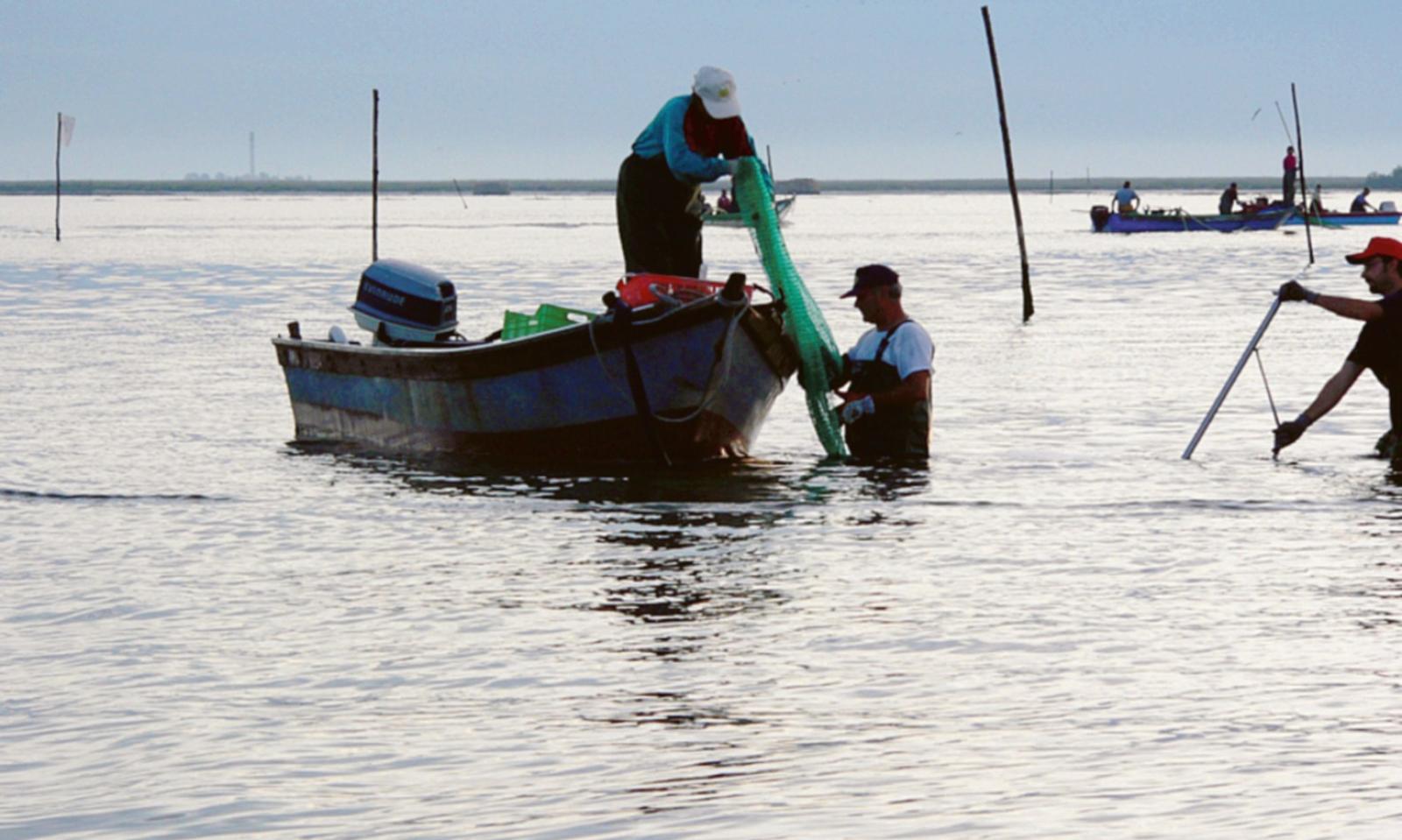 &ldquo;Pesca, ascoltate il grido d&rsquo;allarme&rdquo;