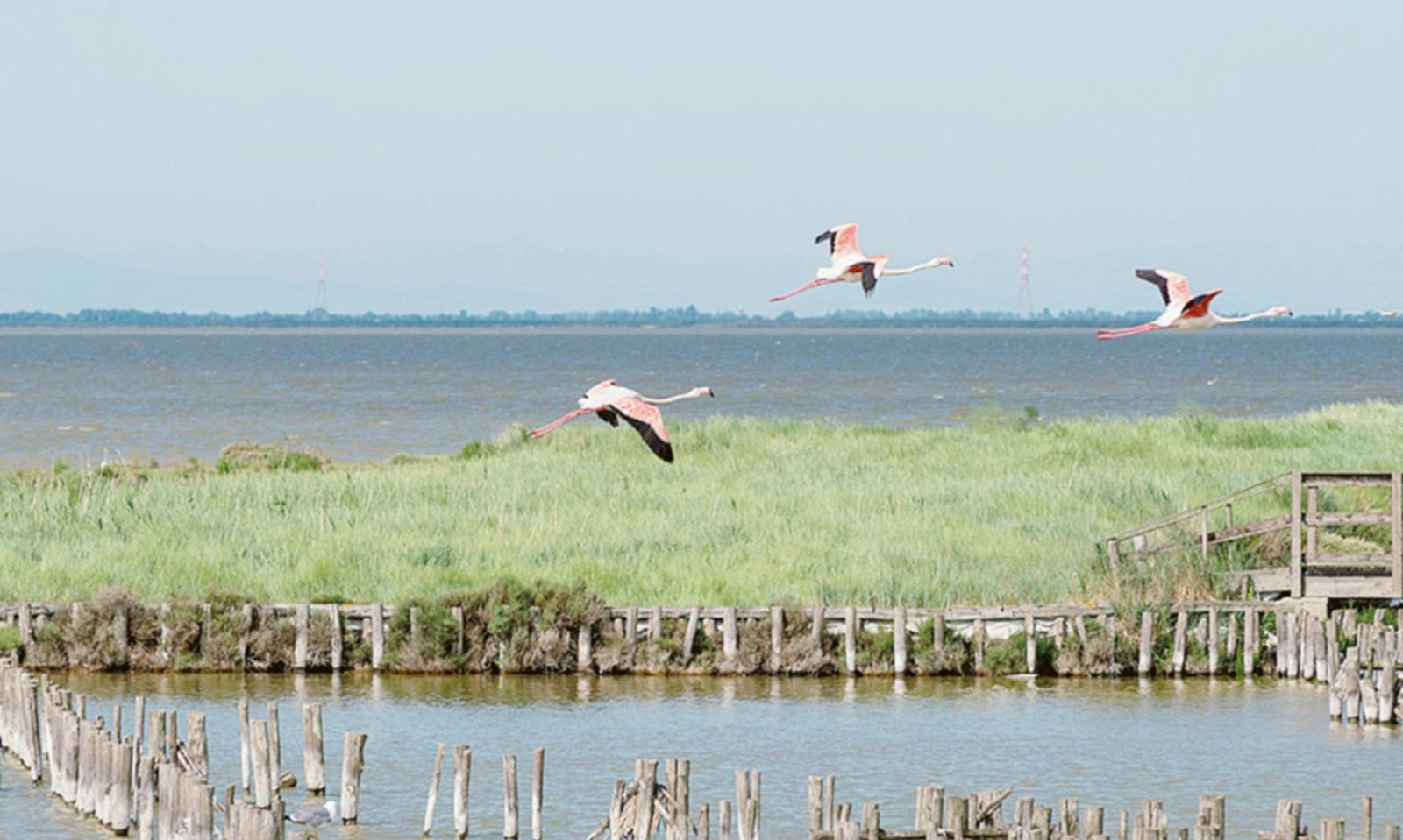Escursioni tra natura e territorio