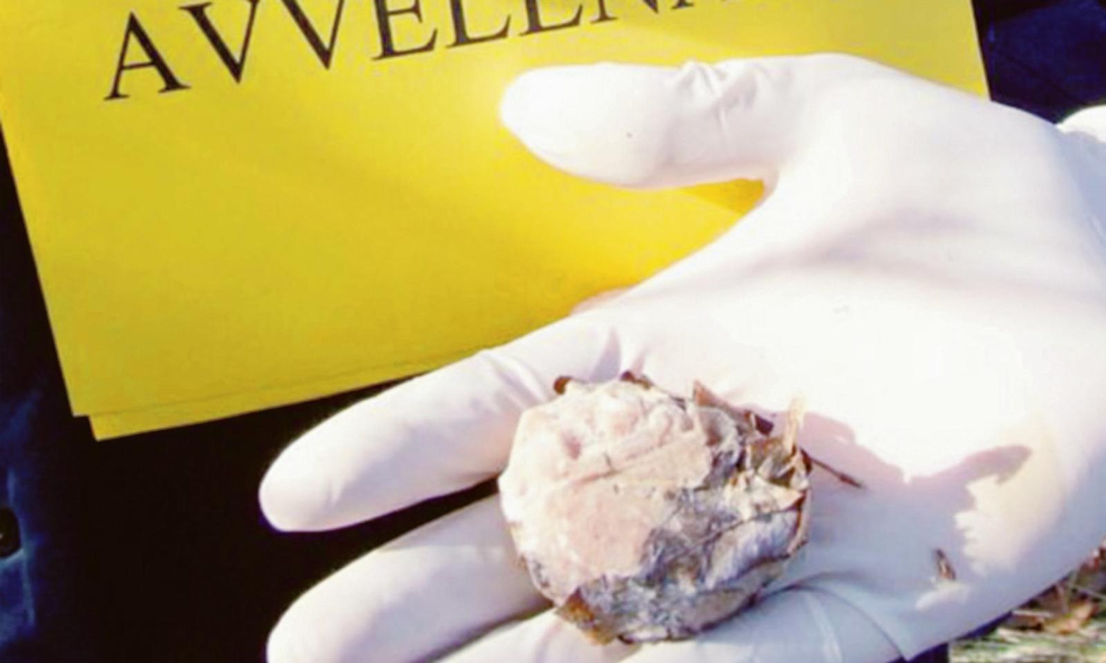 Bocconi avvelenati, &egrave; allarme