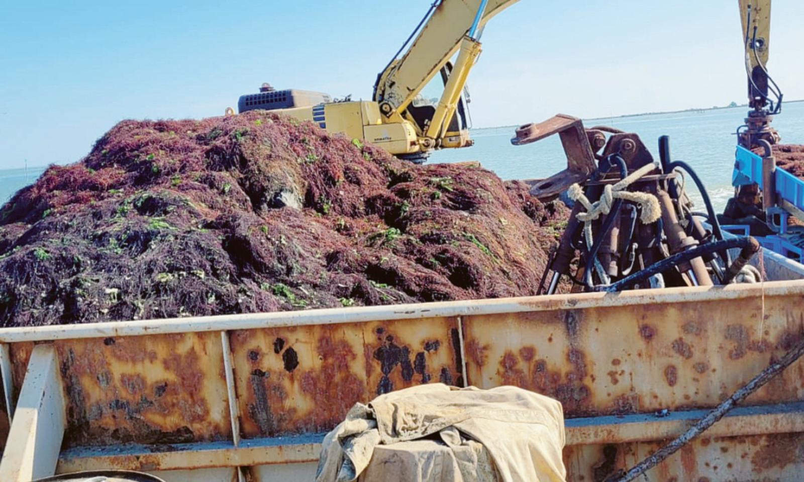 &ldquo;Pesca del futuro da difendere&rdquo;