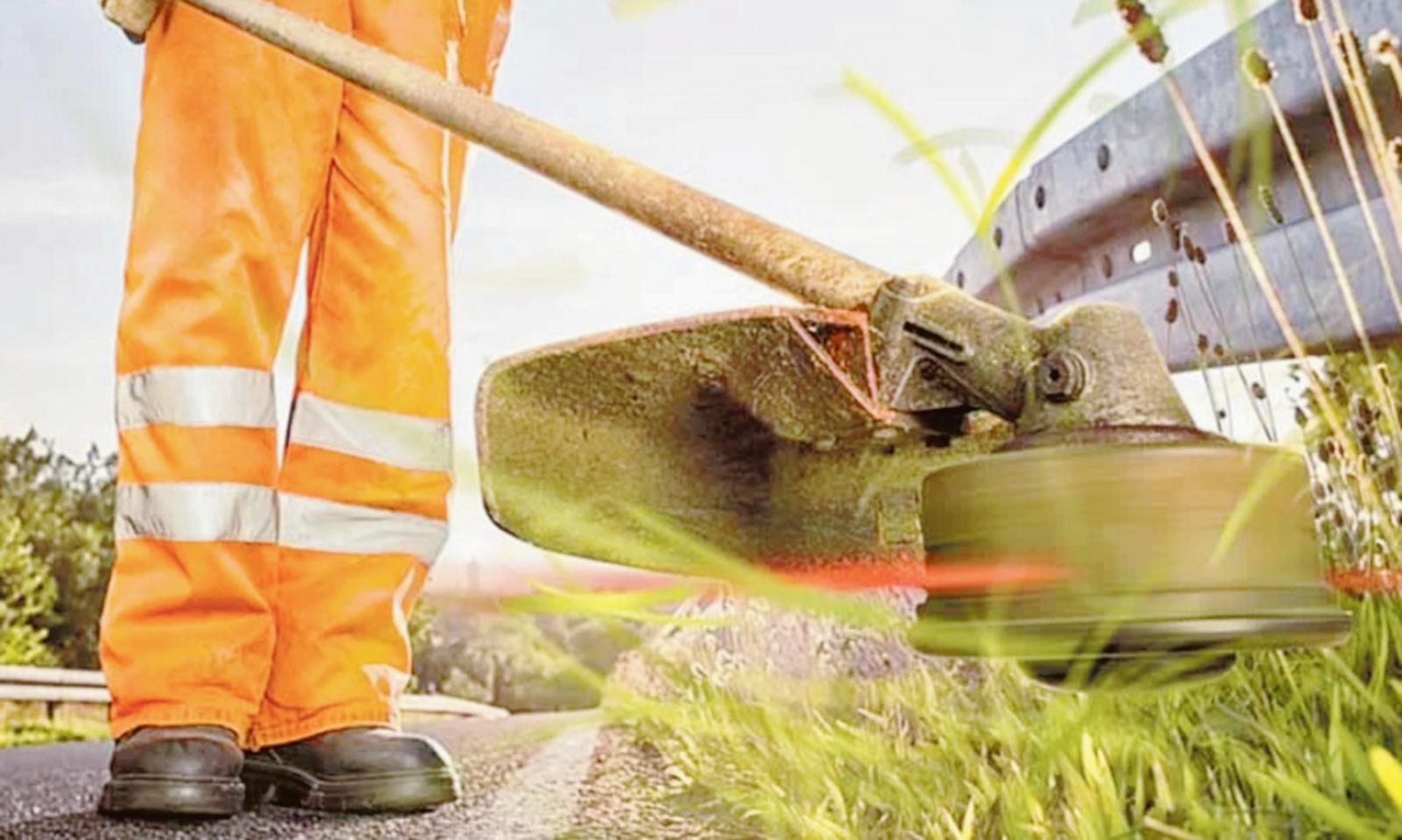 Il Comune d&agrave; lavoro a chi non l'ha