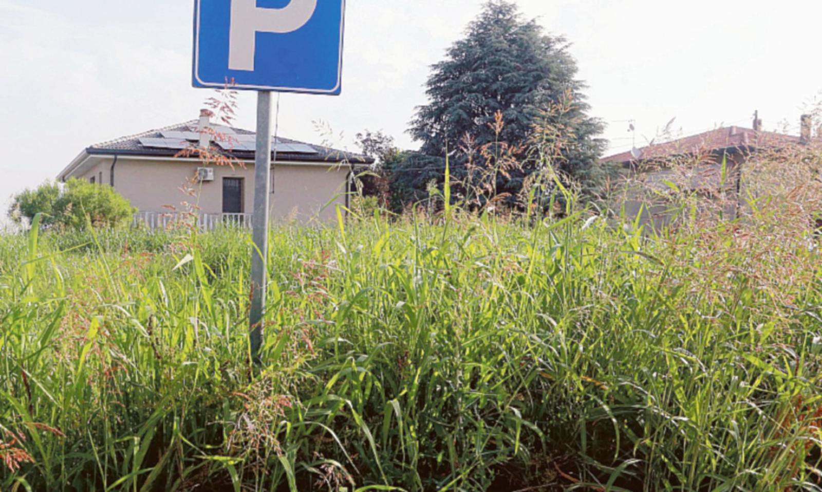 &ldquo;Assediati dall&rsquo;erba alta. Da anni&rdquo;