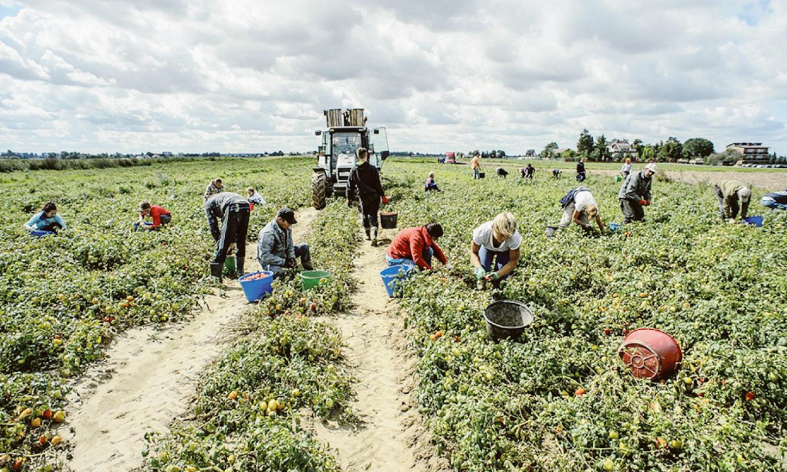 &ldquo;Il salario minimo aumenta il nero&rdquo;