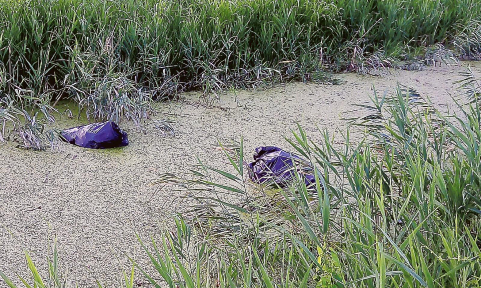 Spazzatura gettata nello scolo