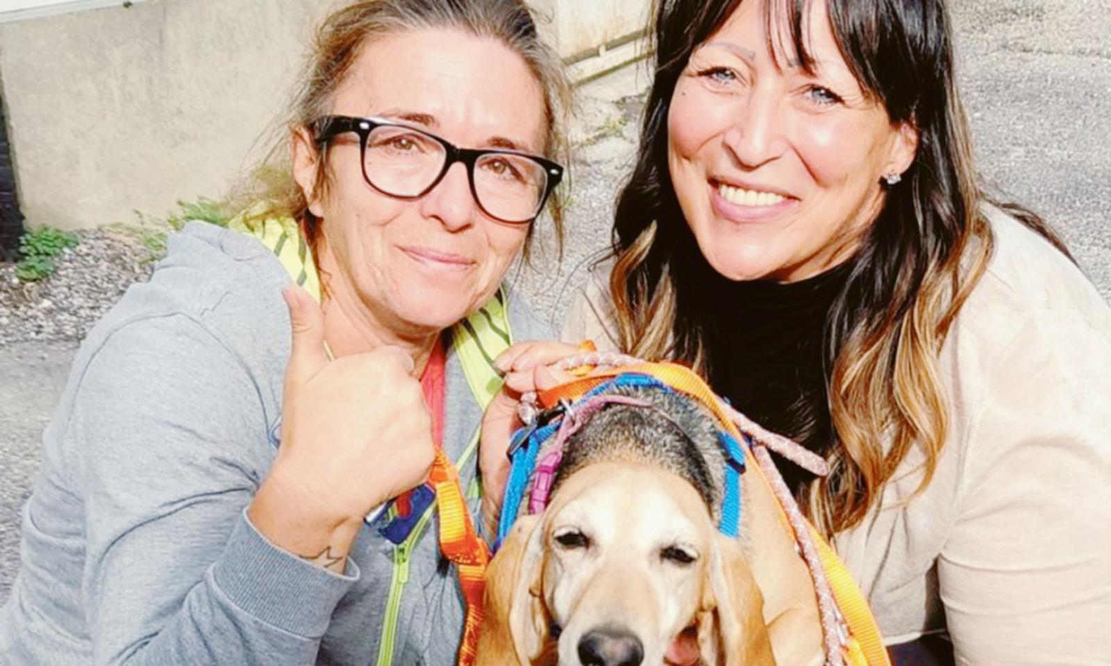 Blitz della polizia, cane &ldquo;sequestrato&rdquo; torna ai padroni