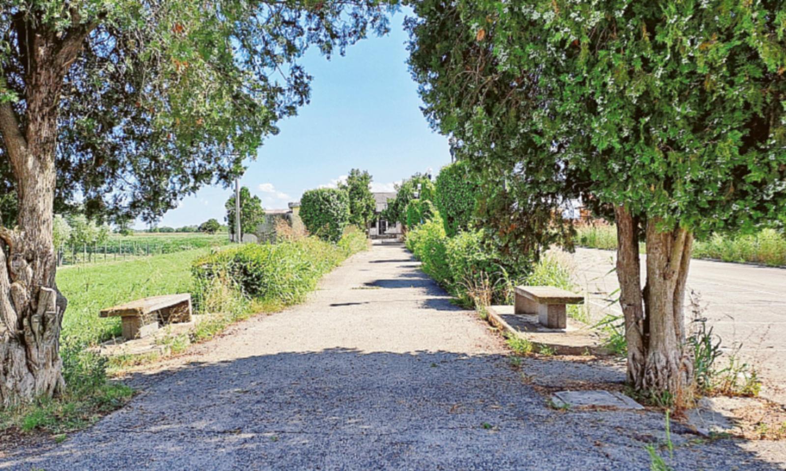 "Cimitero nel degrado, intervenite!"