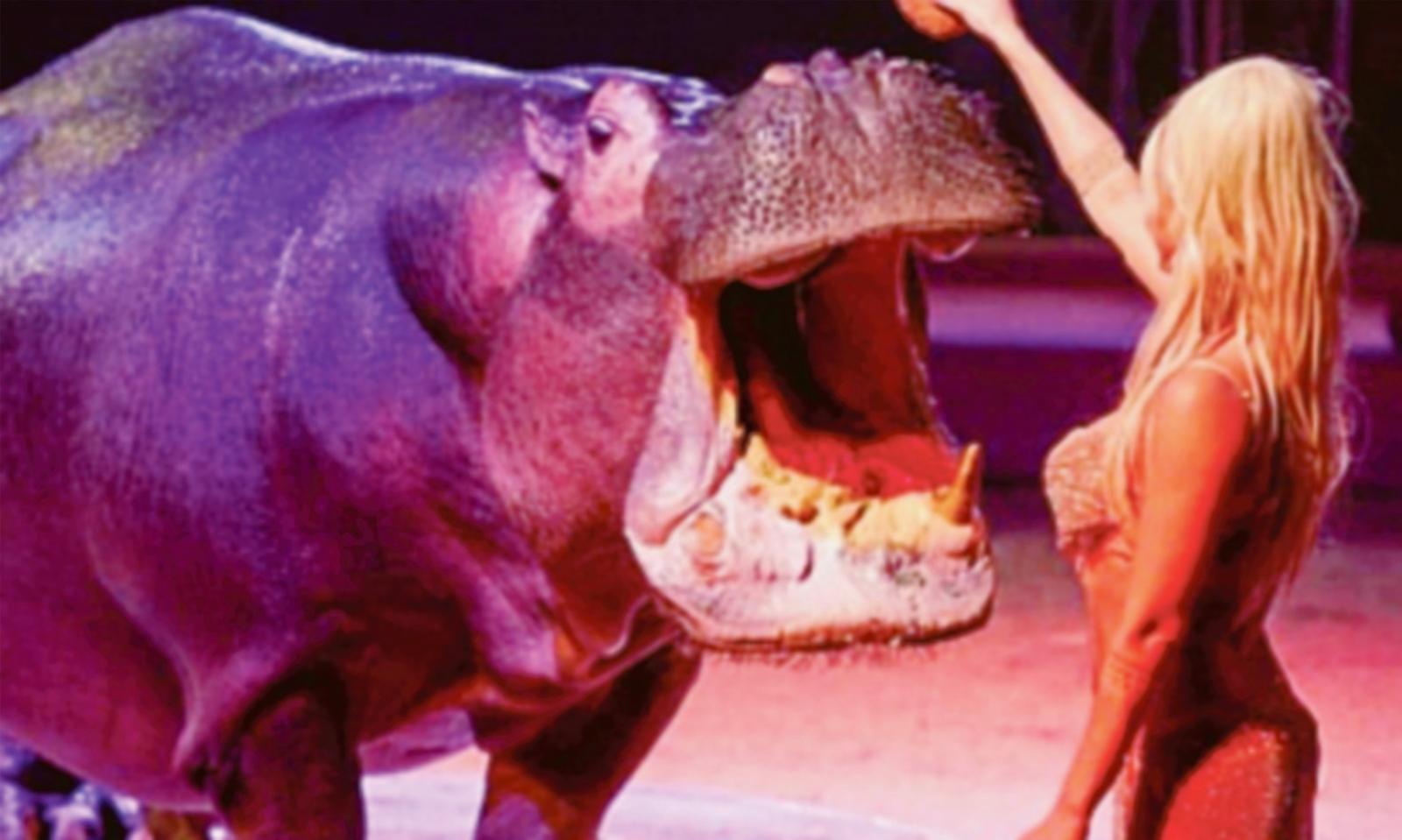 Arriva il circo di Paolo Orfei 1 settembre fino al 10