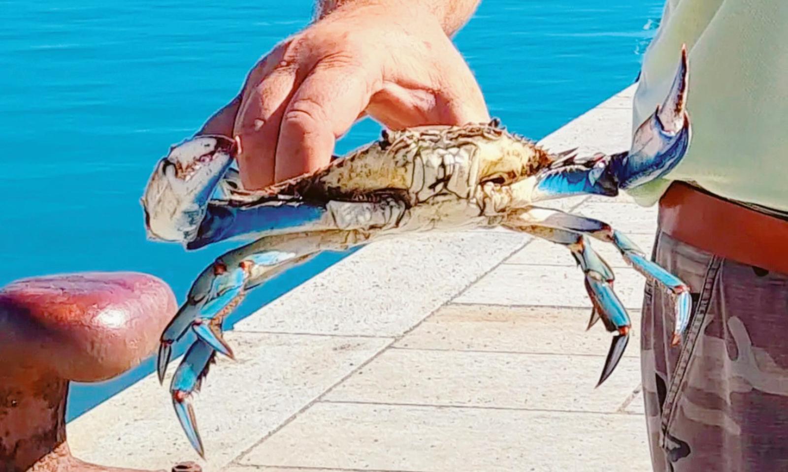 &ldquo;Non abbassiamo la guardia&rdquo;