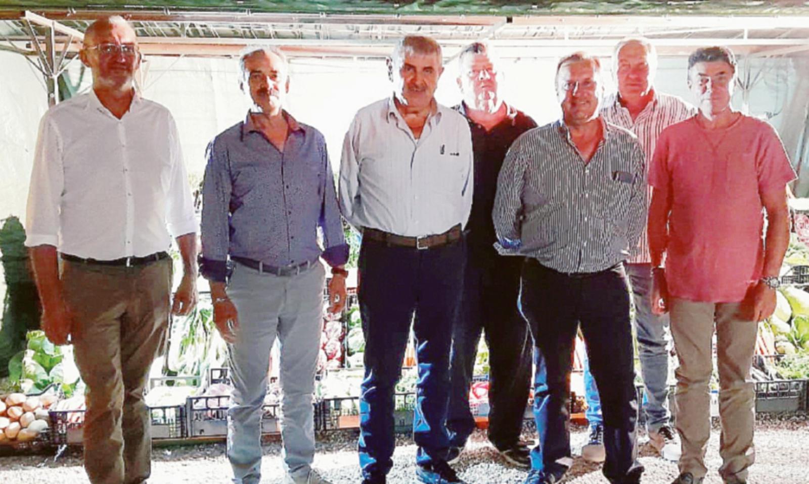 La carota si veste... a festa