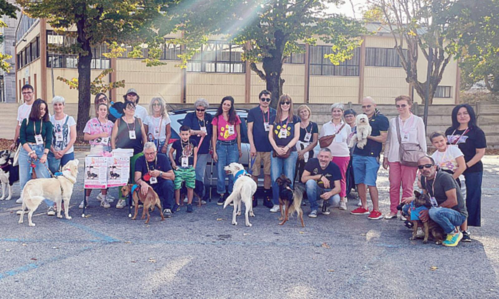 A spasso a sei zampe per le vie della citt&agrave; 