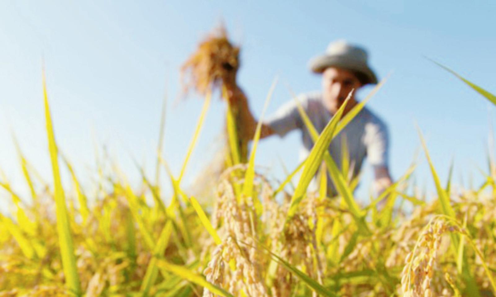 A caccia di aziende sostenibili