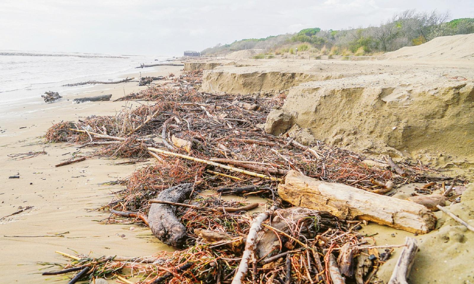 Mangiati 40 centimetri di spiaggia