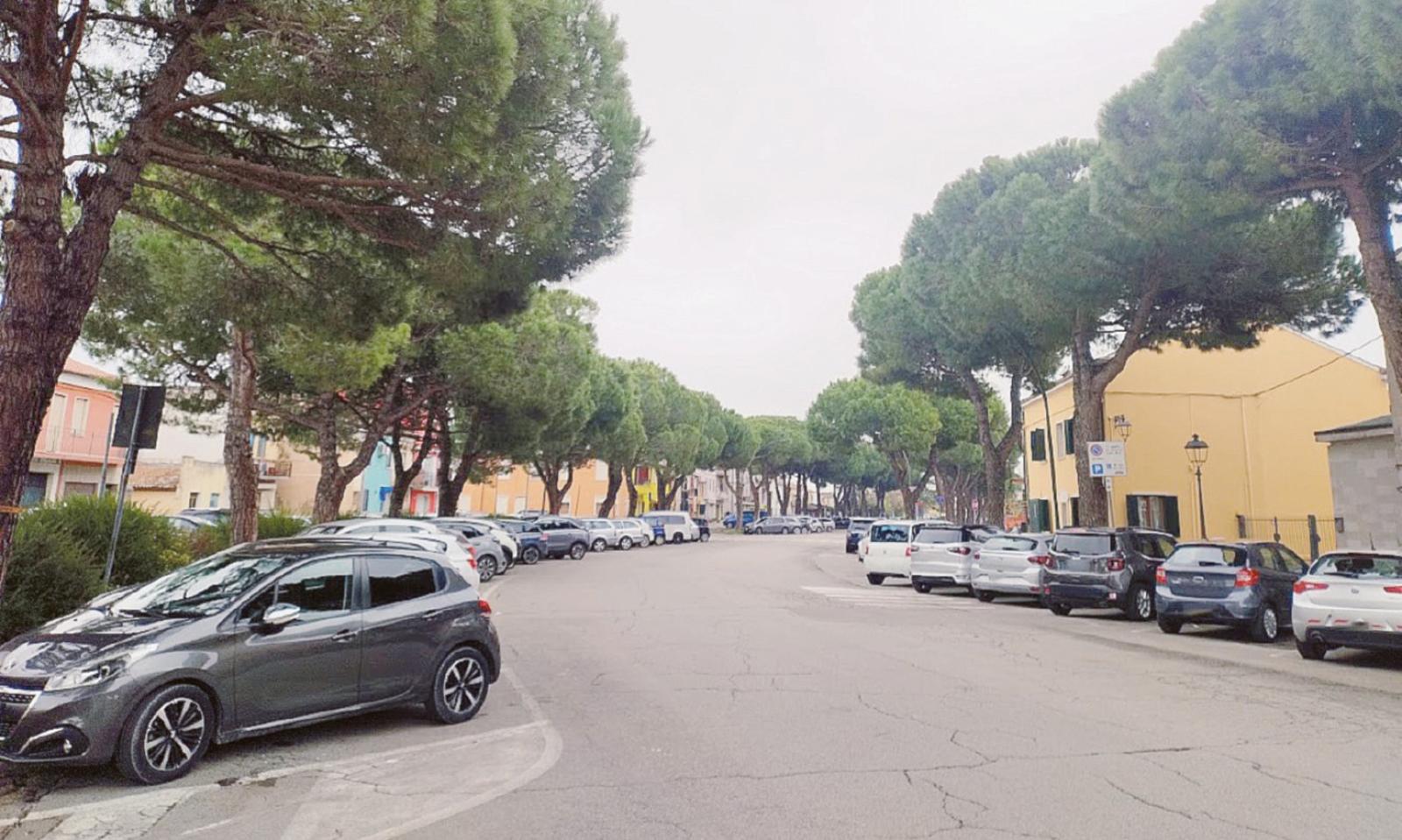 Avanti col taglio dei 62 pini