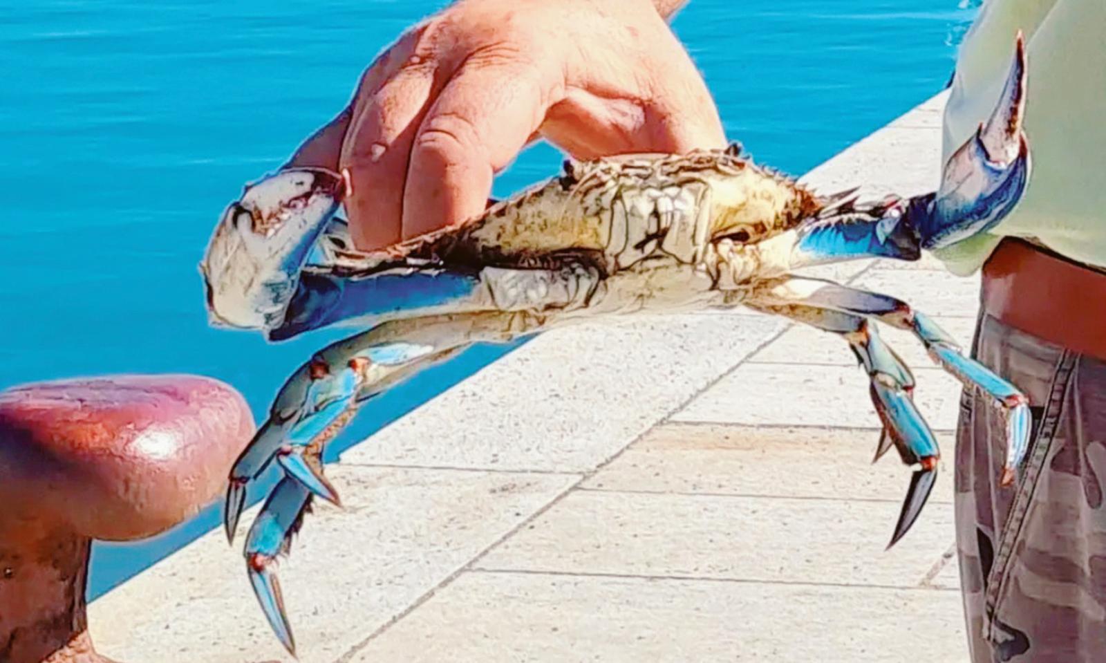 &ldquo;Non &egrave; arrivato un centesimo, situazione esplosiva&rdquo;