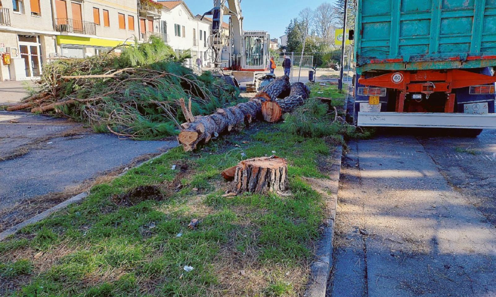 Un brutto, bruttissimo consiglio comunale. Poi le motoseghe