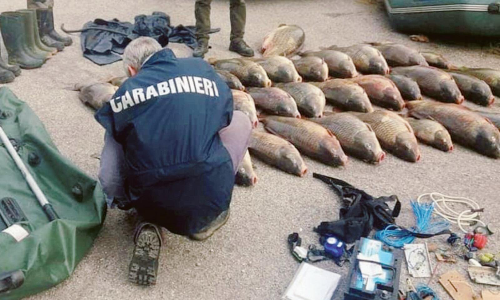 Siamo la terra dei bracconieri