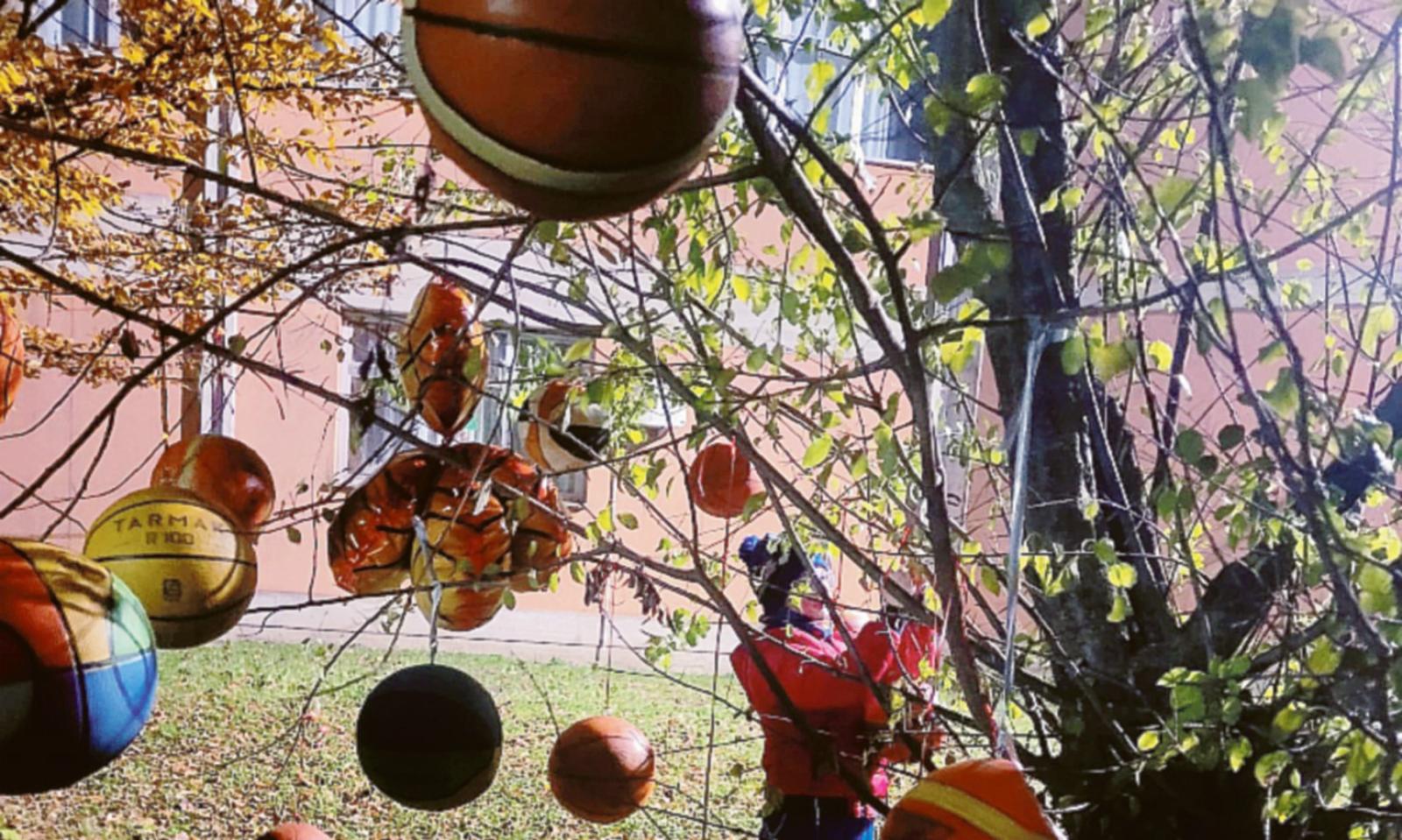 Questi s&igrave; che sono alberi con le palle!