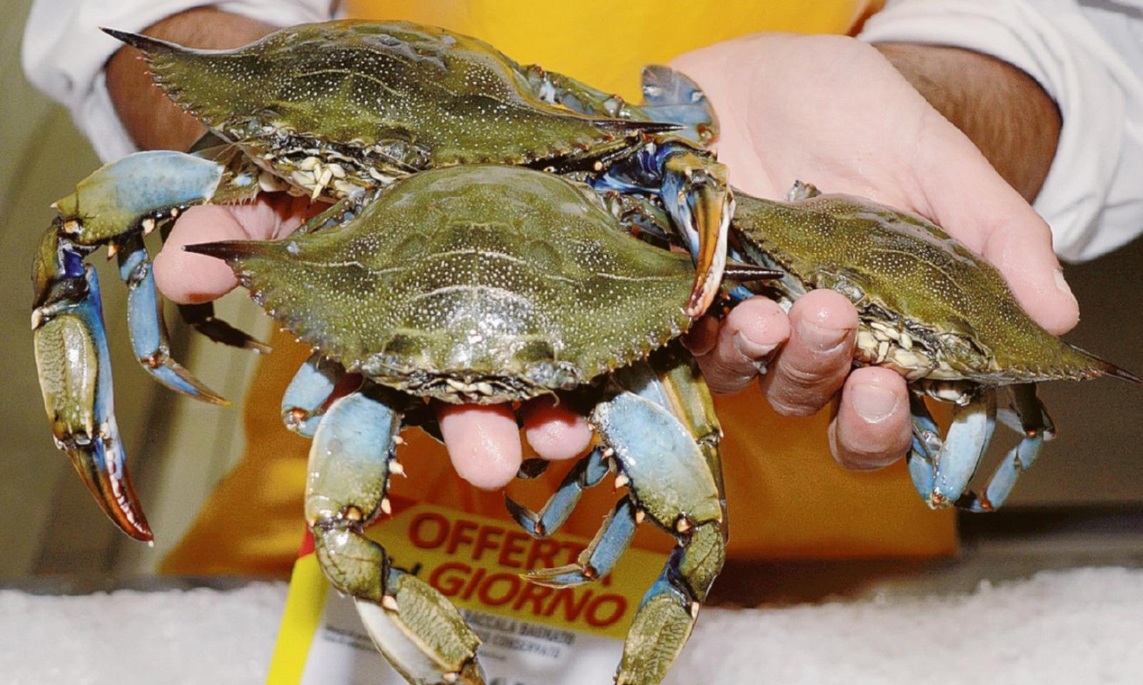 &ldquo;Boccata di ossigeno per la pesca&rdquo;