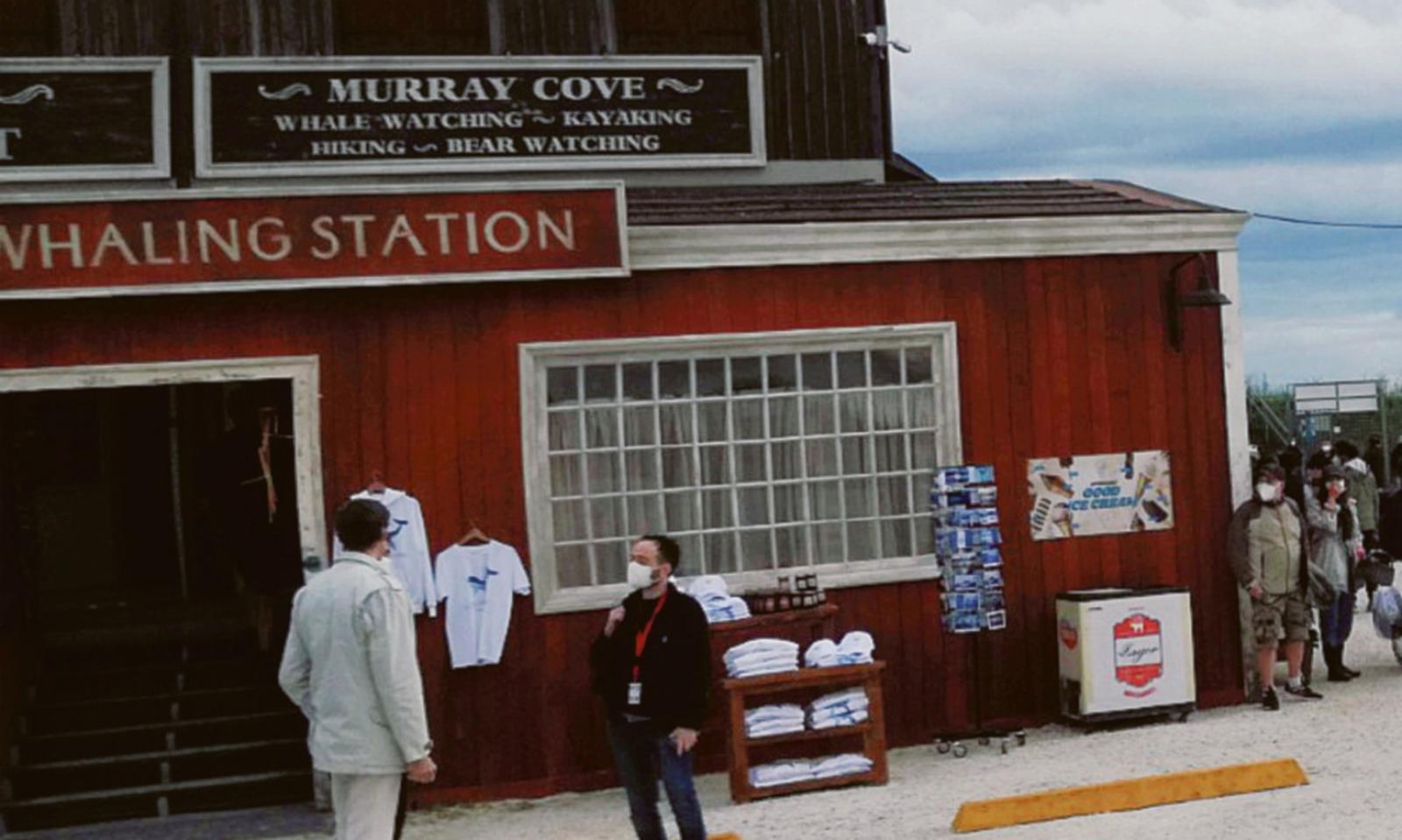 Dal Delta alla Rai: la storia di &ldquo;The Swarm&rdquo; 