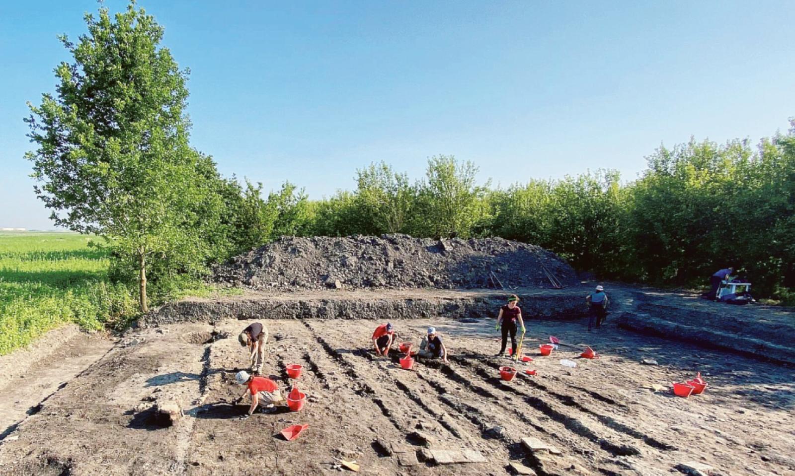 San Basilio &ldquo;sale&rdquo; in cattedra