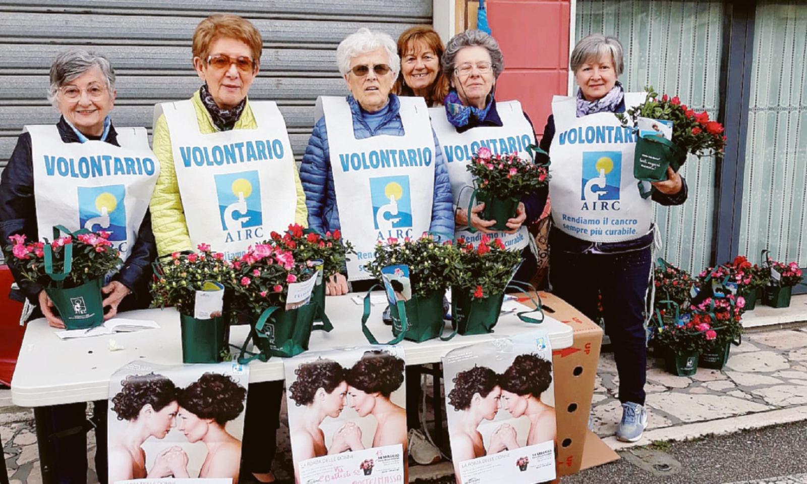 Tornano le arance della salute
