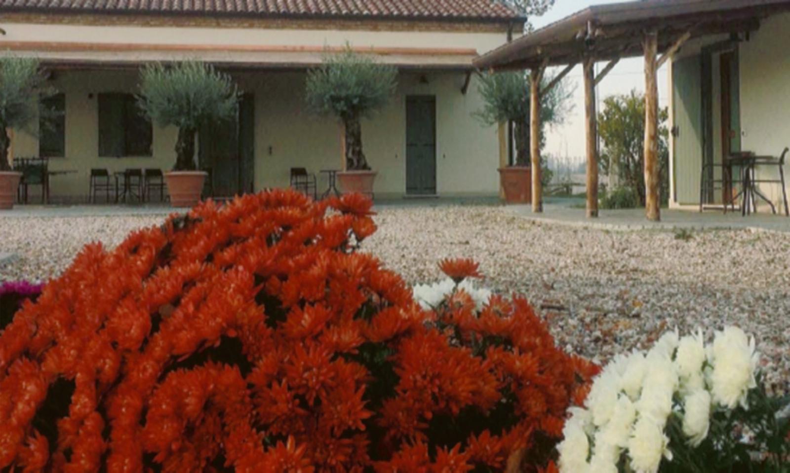 Un viaggio nel vino a Corte Benetti