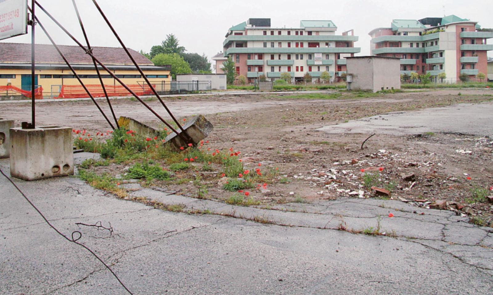 Un bosco al posto delle rovine
