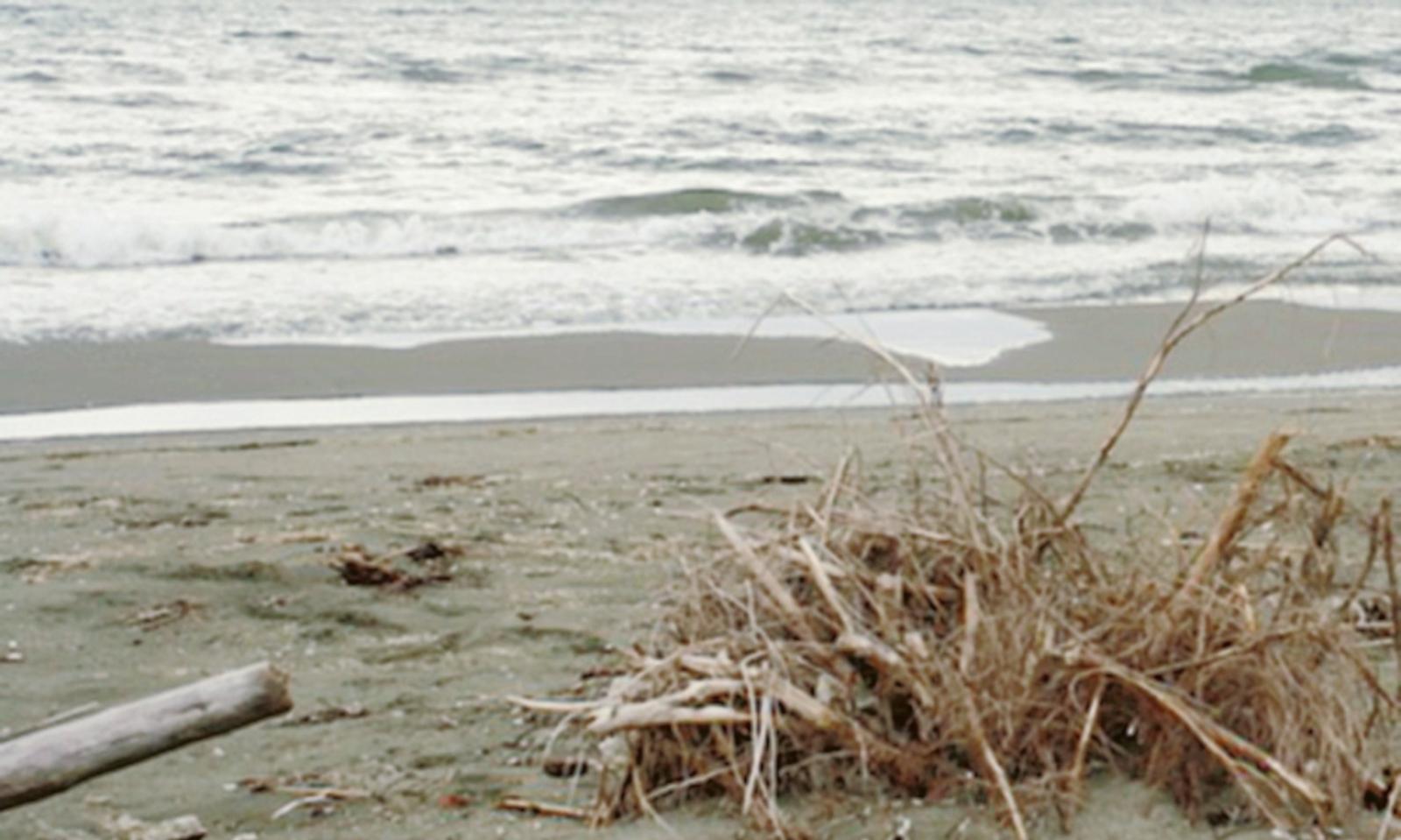 L&rsquo;uomo che invent&ograve; Scano Boa