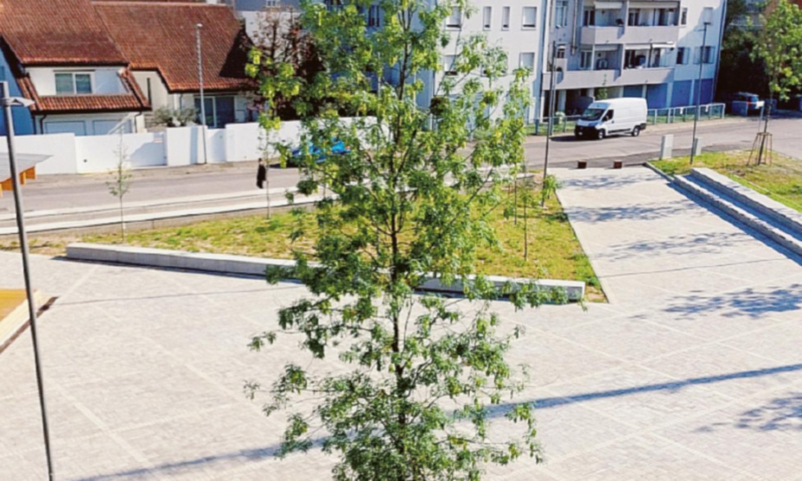 &ldquo;Alberi assetati&rdquo;, Asm replica: "Falso"