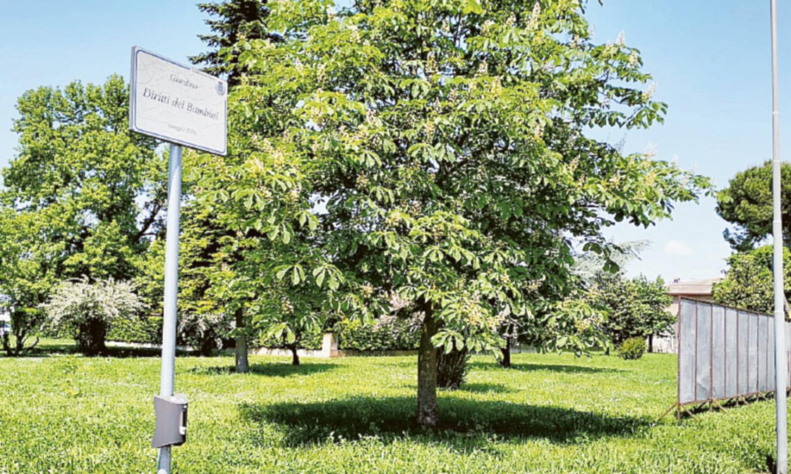 &ldquo;Green Up&rdquo; riqualifica il parco