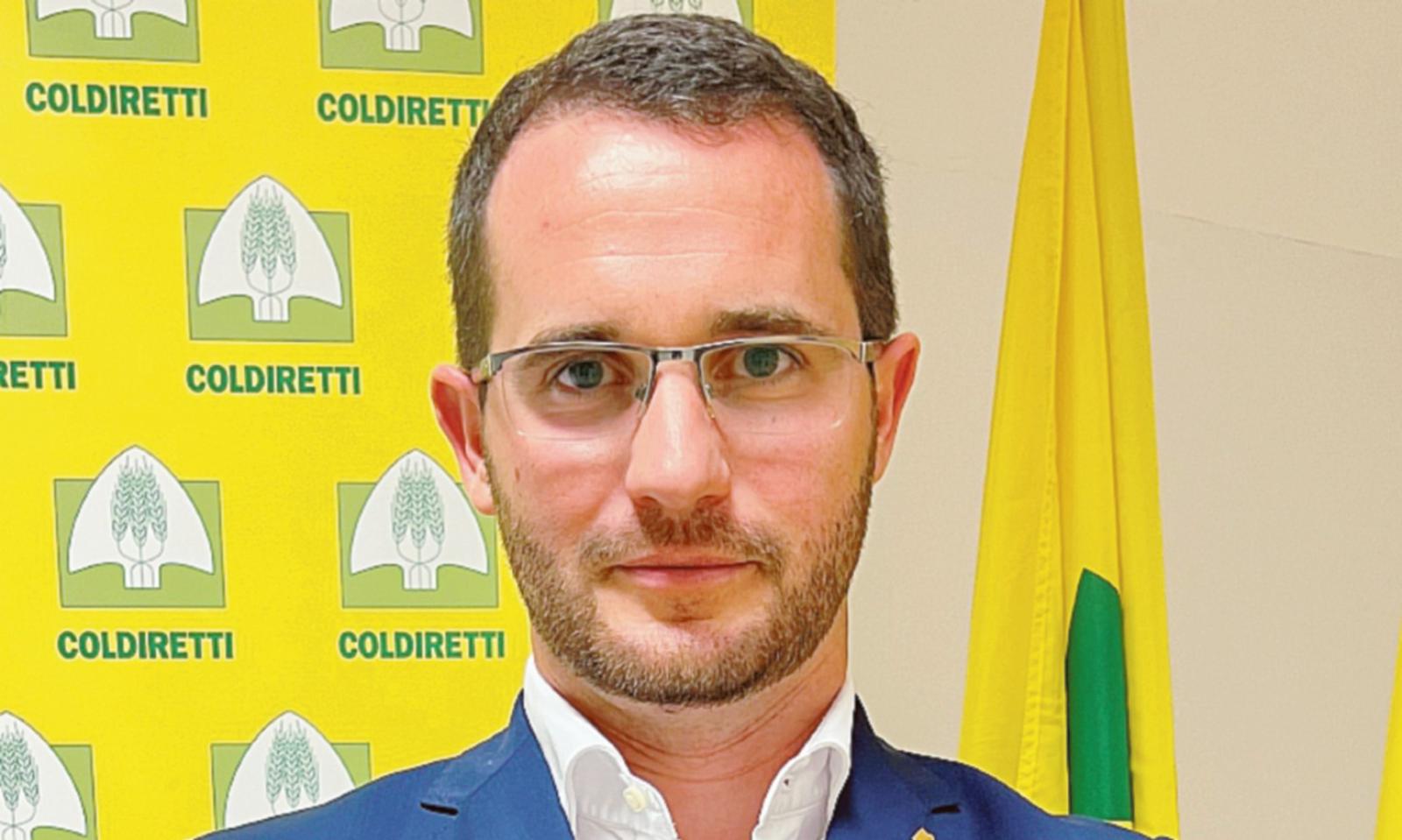 Allarme per il settore della canapa