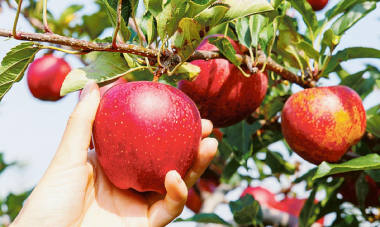 Per gli agricoltori redditi gi&ugrave; del 10%