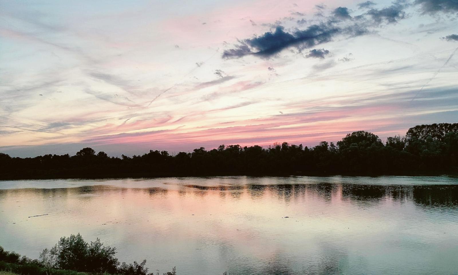 Fiumi di pesticidi, ma anche i Pfas