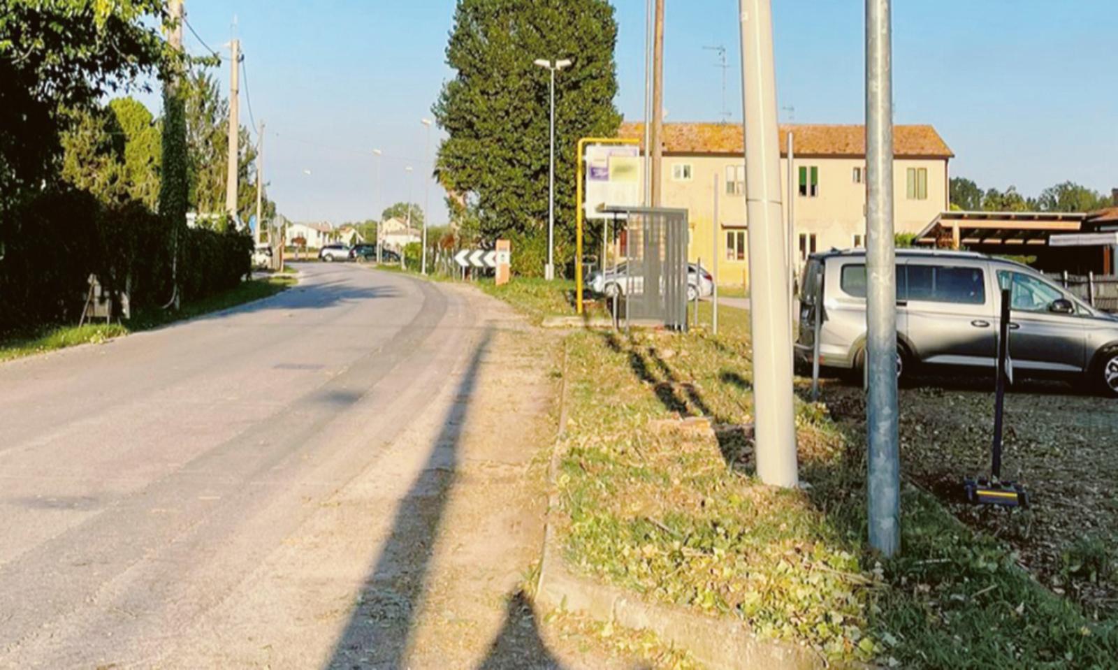 Pioppi tagliati, rabbia dei residenti